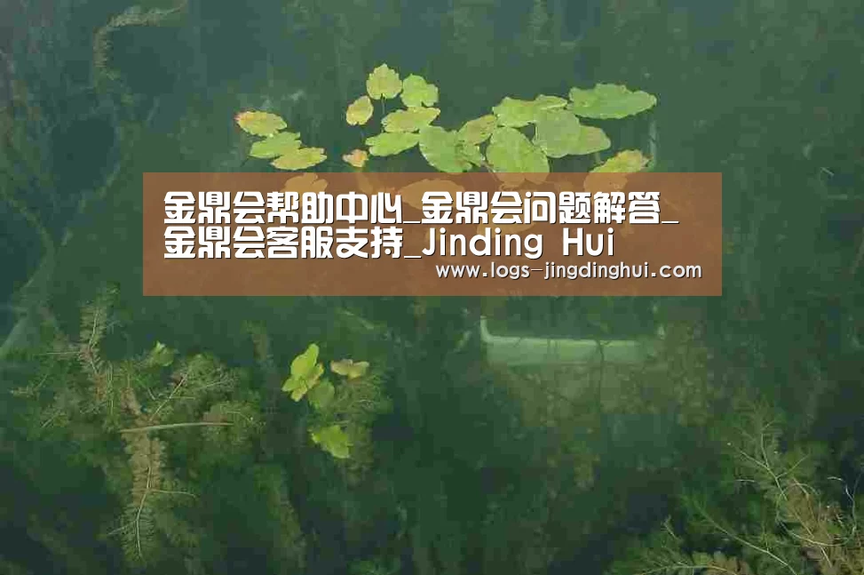 案例展示三